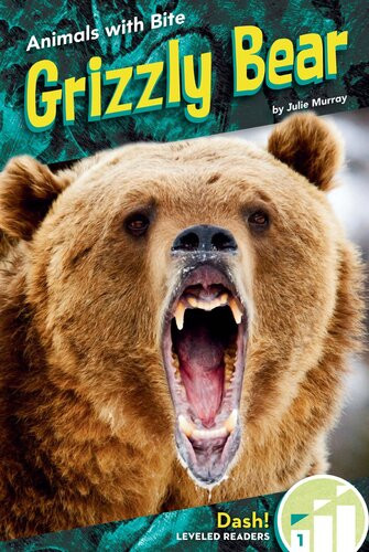 Grizzly Bear Readalong Ebook Julie Murray
