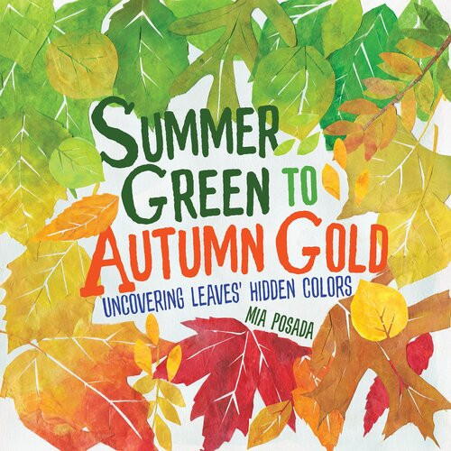 Summer Green To Autumn Gold Uncovering Leaves Hidden Colors Mia Posada