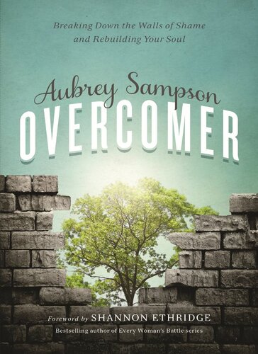 Overcomer Breaking Down The Walls Of Shame And Rebuilding Your Soul Aubrey Gayel Sampson