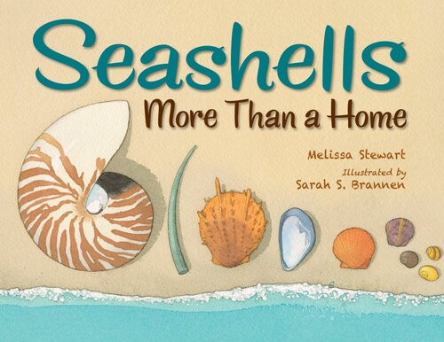 Seashells Melissa Stewart Sarah Brannen