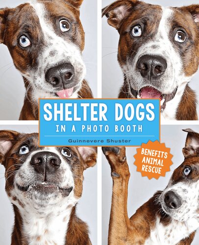 Shelter Dogs In A Photo Booth Guinnevere Shuster