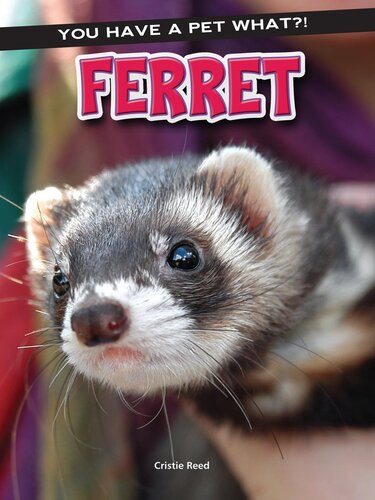 Ferret Cristie Reed