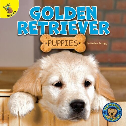 Golden Retriever Puppies Hailey Scragg