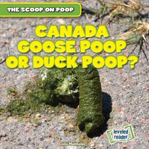 Canada Goose Poop Or Duck Poop Colin Matthews