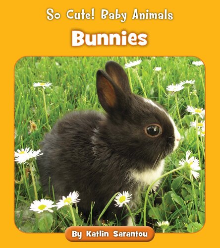 Bunnies Katlin Sarantou