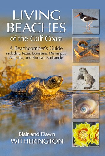Living Beaches Of The Gulf Coas Blair And Dawn Witherington