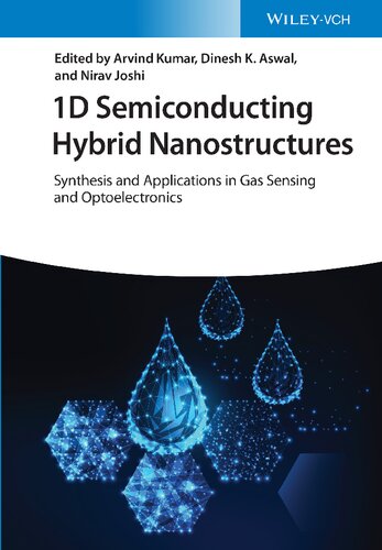 1d Semiconducting Hybrid Nanostructures Synthesis And Applications In Gas Sensing And Optoelectronic 1st Edition Kumar A
