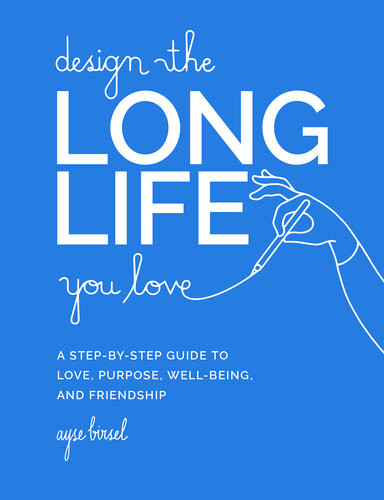 Design The Long Life You Love Ayse Birsel