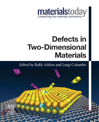 Defects In Twodimensional Materials Rafik Addou Luigi Colombo