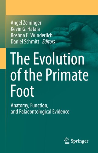The Evolution Of The Primate Foot Anatomy Function And Palaeontological Evidence Angel Zeininger