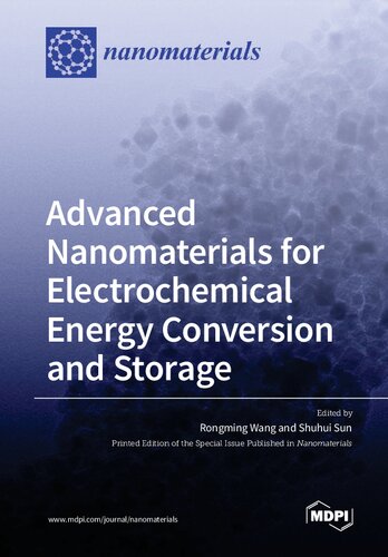 Advanced Nanomaterials For Electrochemical Energy Conversion And Storage Wang R