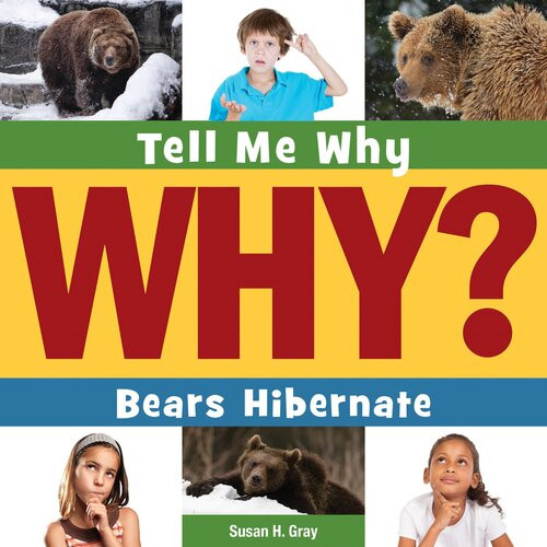 Bears Hibernate Readalong Ebook Susan H Gray