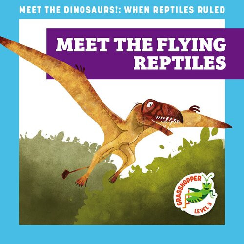 Meet The Flying Reptiles Readalong Ebook Rebecca Donnelly