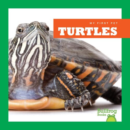 Turtles Readalong Ebook Cari Meister