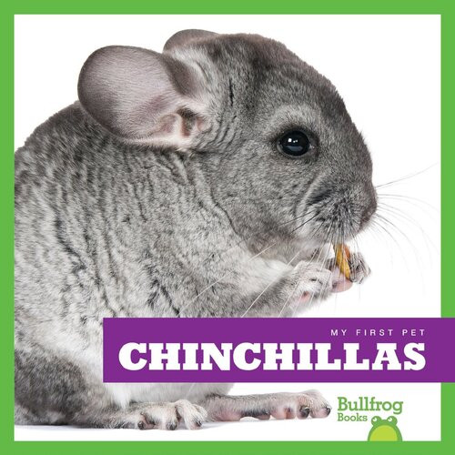 Chinchillas Readalong Ebook Vanessa Black