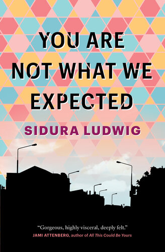 You Are Not What We Expected Sidura Ludwig