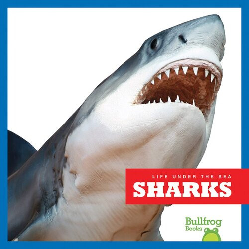 Sharks Readalong Ebook Cari Meister