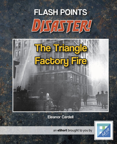 The Triangle Factory Fire Readalong Ebook Eleanor Cardell