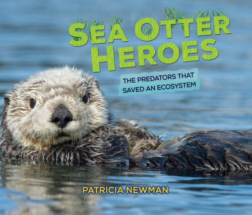 Sea Otter Heroes The Predators That Saved An Ecosystem Readalong Ebook Patricia Newman