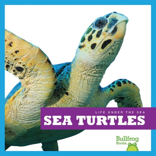 Sea Turtles Readalong Ebook Cari Meister