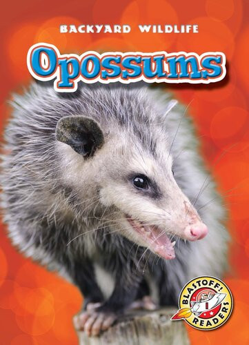 Opossums Readalong Ebook Emily Green