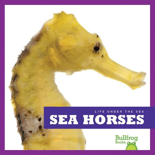 Sea Horses Readalong Ebook Cari Meister
