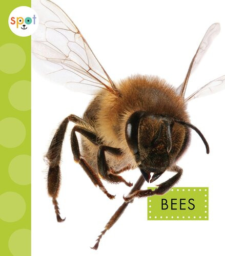 Bees Readalong Ebook Nessa Black