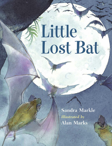 Little Lost Bat Readalong Ebook Sandra Markle Alan Marks