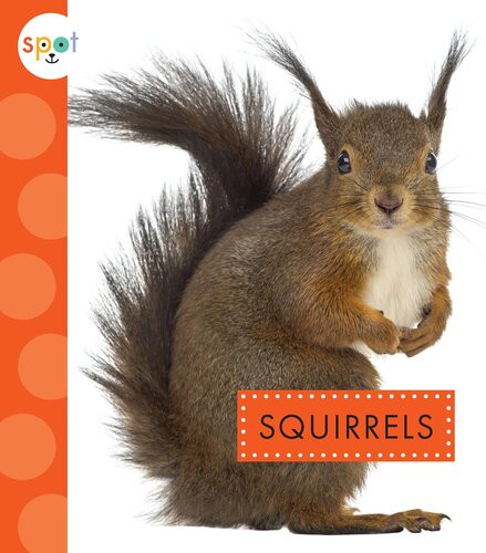 Squirrels Readalong Ebook Wendy Strobel Dieker