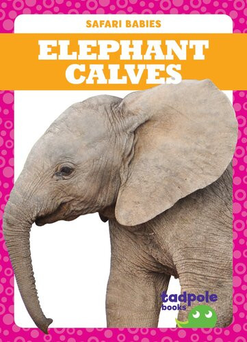 Elephant Calves Readalong Ebook Genevieve Nilsen
