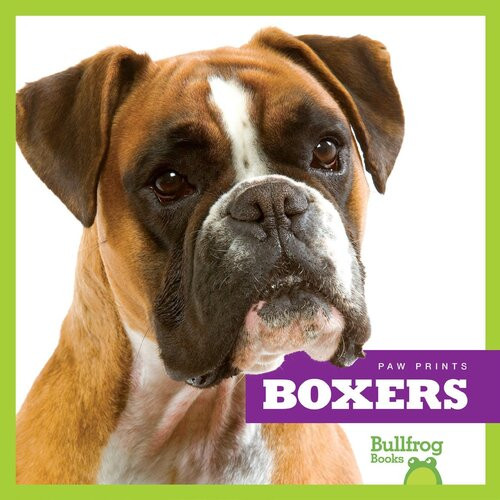 Boxers Readalong Ebook Nadia Higgins