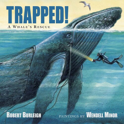 Trapped A Whales Rescue Readalong Ebook Robert Burleigh