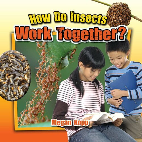 How Do Insects Work Together Readalong Ebook Megan Kopp
