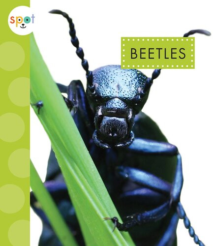 Beetles Readalong Ebook Nessa Black
