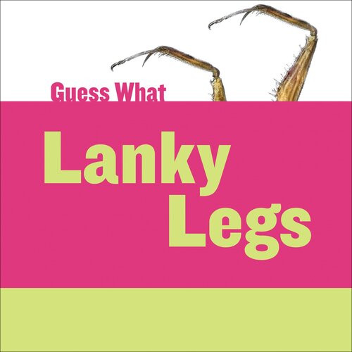 Lanky Legs Praying Mantis Readalong Ebook Felicia Macheske