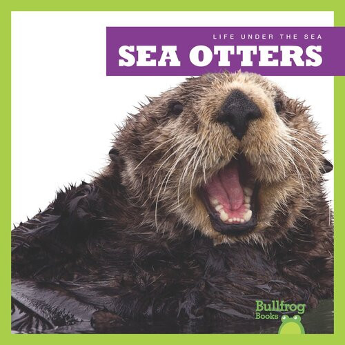Sea Otters Readalong Ebook Mari C Schuh