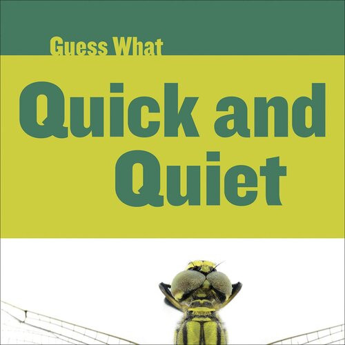 Quick And Quiet Dragonfly Readalong Ebook Felicia Macheske