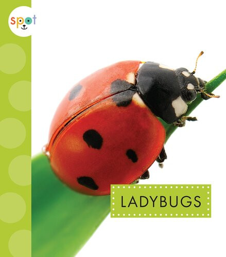 Ladybugs Readalong Ebook Nessa Black