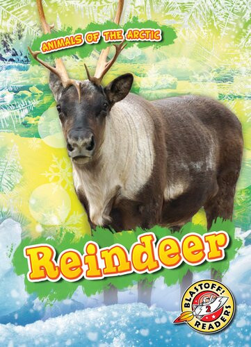 Reindeer Readalong Ebook Rebecca Pettiford