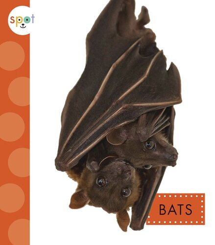 Bats Readalong Ebook Wendy Strobel Dieker