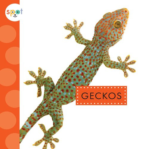 Geckos Readalong Ebook Rachel Bach
