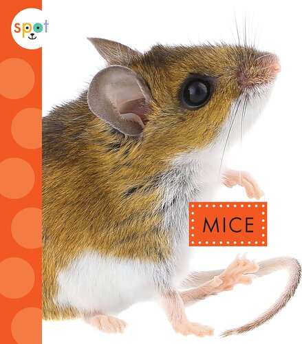 Mice Readalong Ebook Marysa Storm