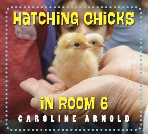Hatching Chicks In Room 6 Readalong Ebook Caroline Arnold