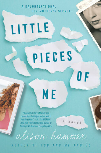 Little Pieces Of Me A Novel Alison Hammer