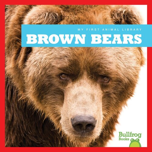 Brown Bears Readalong Ebook Cari Meister