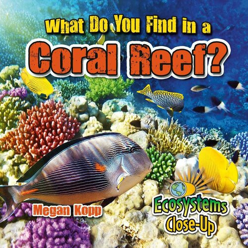 What Do You Find In A Coral Reef Readalong Ebook Megan Kopp