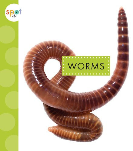 Worms Readalong Ebook Nessa Black
