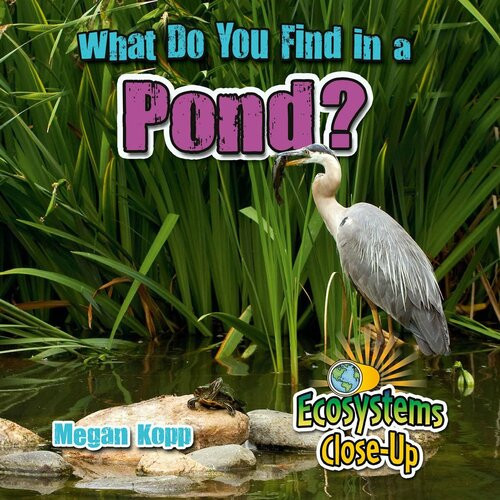 What Do You Find In A Pond Readalong Ebook Megan Kopp