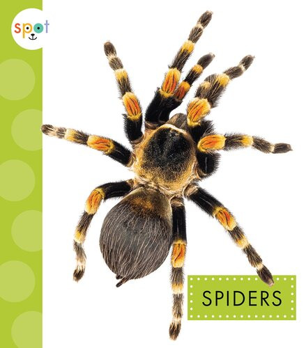 Spiders Readalong Ebook Nessa Black