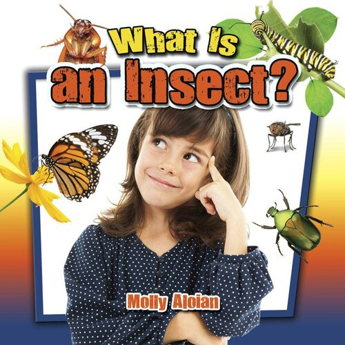 What Is An Insect Readalong Ebook Molly Aloian